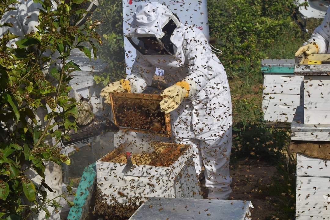 Samar y sus abejas: el desafío al bloqueo israelí y al desempleo