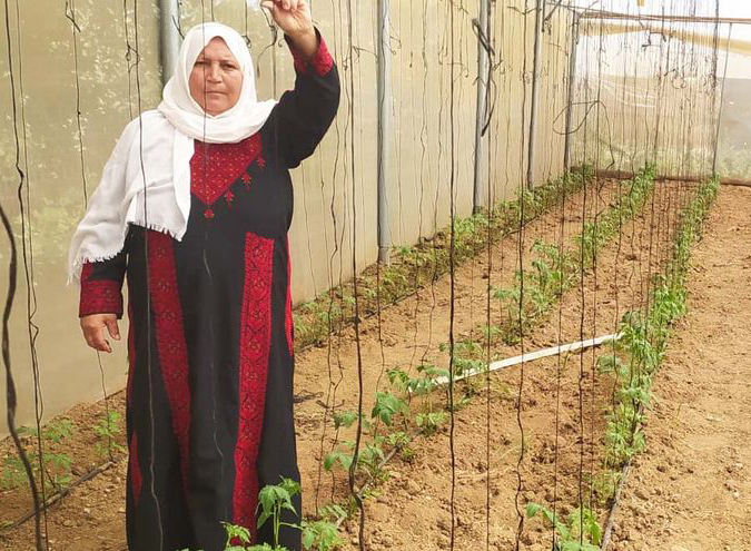 Eres la tierra que caminas: las mujeres gazatíes luchan desde el amor a su tierra contra el desempleo