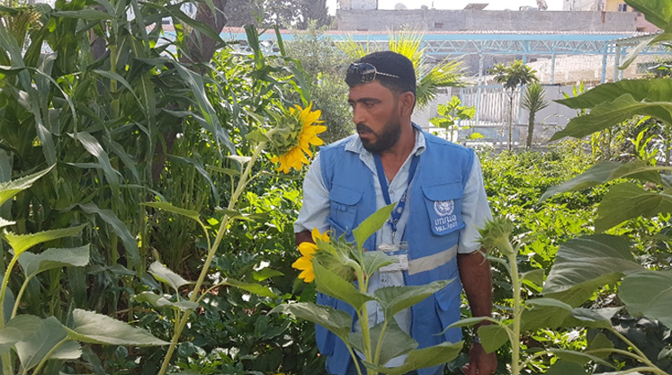 Jardines y naturaleza para aliviar el estrés en Siria 