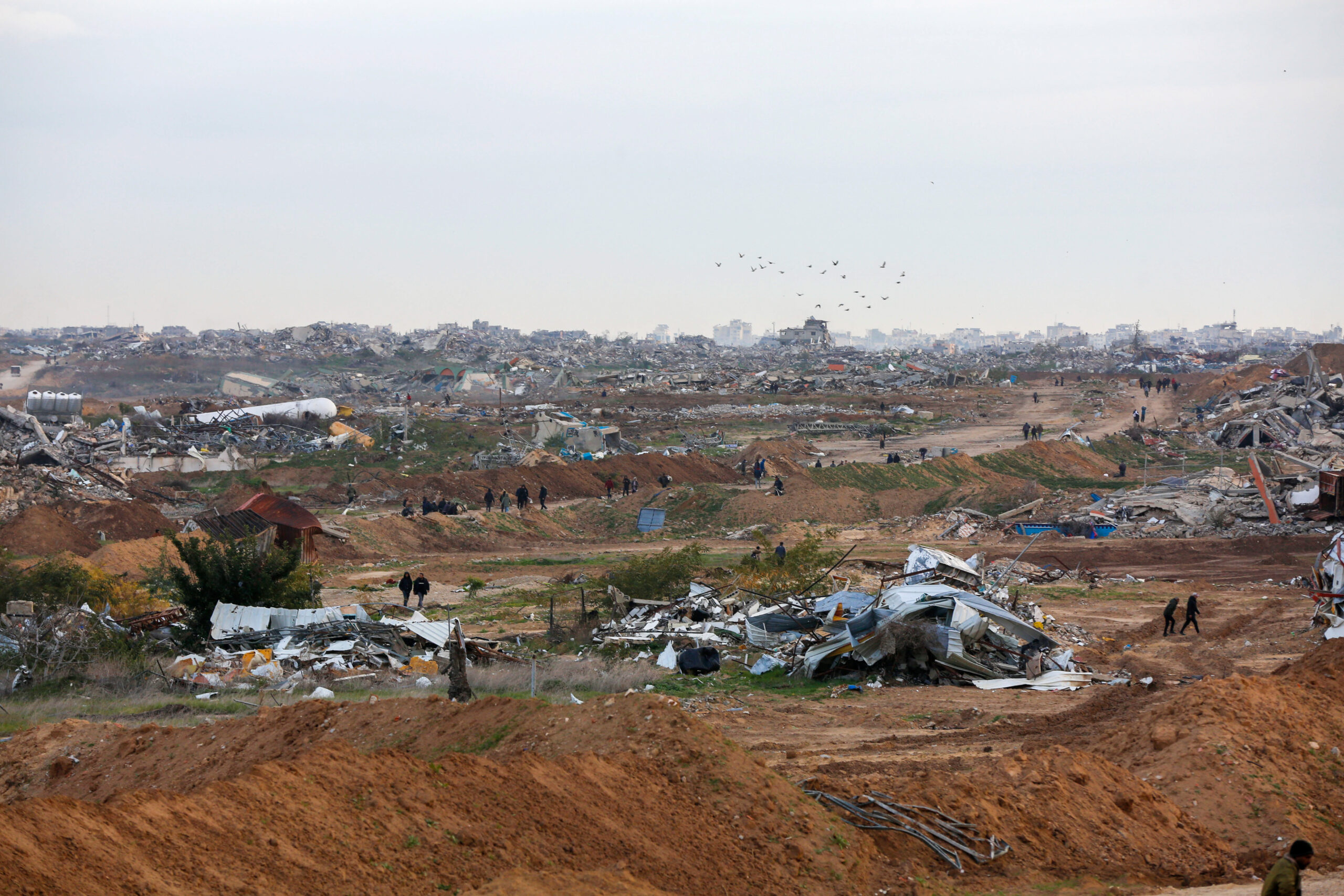 Campos de cultivo destrozados en Gaza